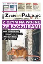 Życie Pabianic