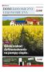 Gazeta Wyborcza (wyd. Kielce)  201 (30.08.2023) - Dom ekologiczny i ekonomiczny