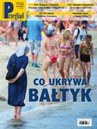 Przegląd