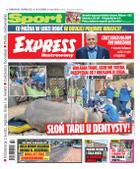Express Ilustrowany