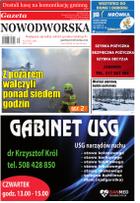 Gazeta Nowodworska