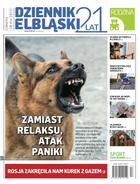 Dziennik Elbląski