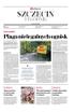 Gazeta Wyborcza (wyd. Szczecin) 132 (09.06.2023) - Szczecin