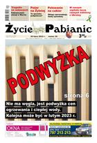 Życie Pabianic