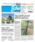 Echo Dnia 229 (02.10.2025) - Echo Dnia Świętokrzyskie