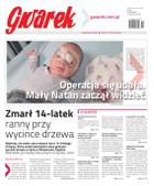 Gwarek