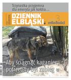 Dziennik Elbląski