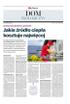 Gazeta Wyborcza (wyd. Stołeczna) 277 (28.11.2024) - Dom ekologiczny