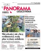 Panorama Leszczyńska