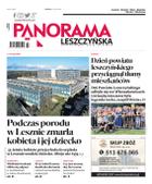 Panorama Leszczyńska